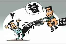 白塔白塔的要账公司在催收过程中的策略和技巧有哪些？